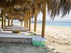 Asterias Beach #4